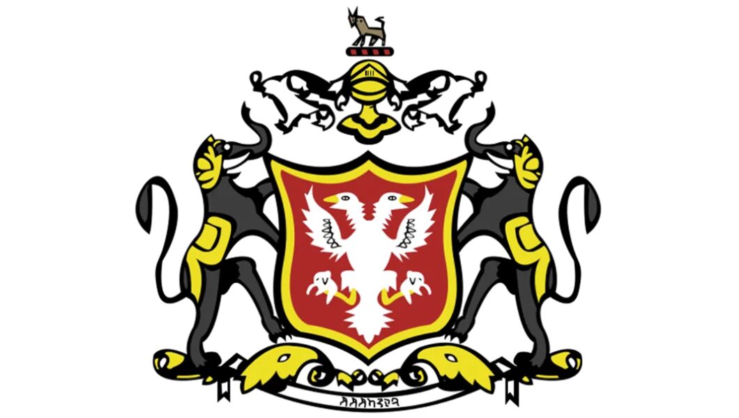 Read more about the article तिम्मराज वोडेयार प्रथम: विजयनगर की छाया में मैसूर राज्य के सुदृढ़ीकरण का शिल्पी
