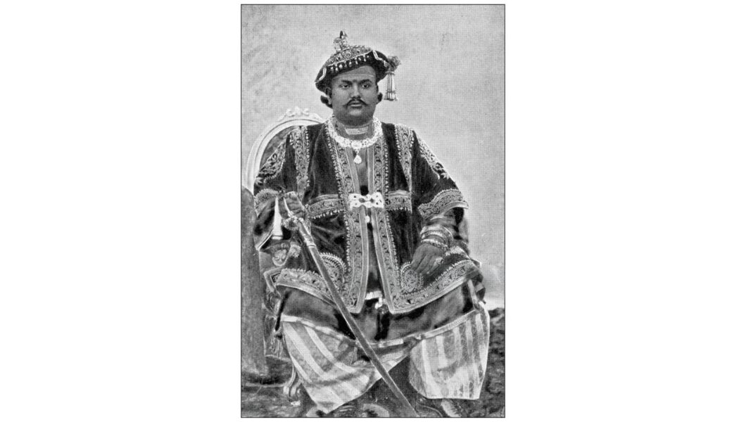 You are currently viewing चामराजा वोडेयार षष्ठम्: वर्चस्व की राह पर चलने वाले एक युवा शासक